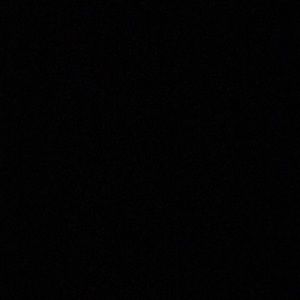 Meet your Posher, Dina